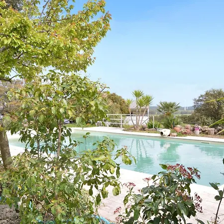 Pet Friendly In With Swimming Pool Sedini
