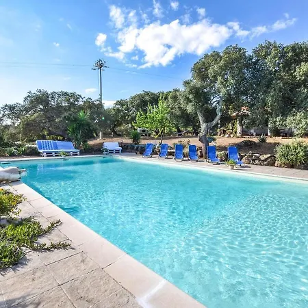Pet Friendly In With Swimming Pool Holiday home *