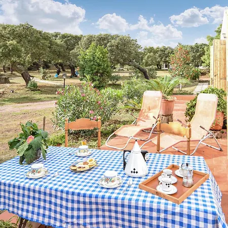 Pet Friendly In With Swimming Pool Sedini