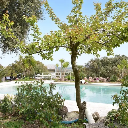 Holiday home Pet Friendly In With Swimming Pool *