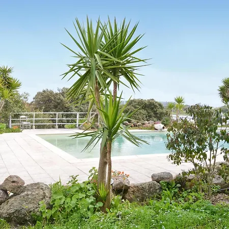 Pet Friendly In With Swimming Pool *