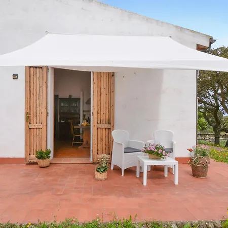 Pet Friendly In With Swimming Pool Holiday home